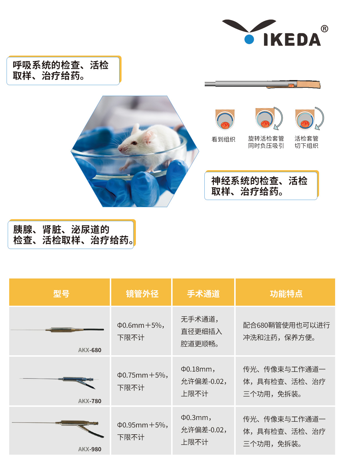 益柯達大、小鼠腸鏡解決方案